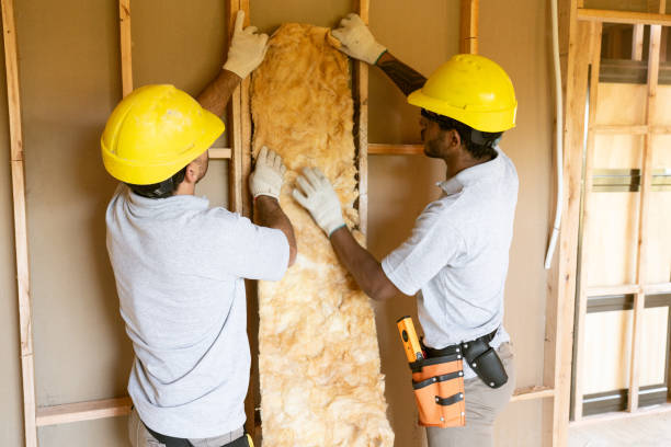 Eco-Friendly or Green Insulation Solutions in North Key Largo, FL